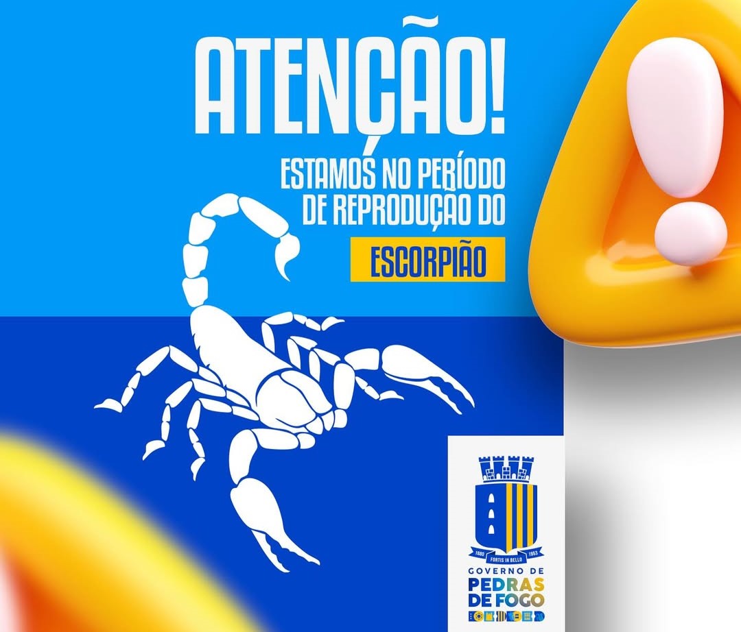 Imagem ilustrativa: Governo de Pedras de Fogo alerta para risco de picadas de escorpiões