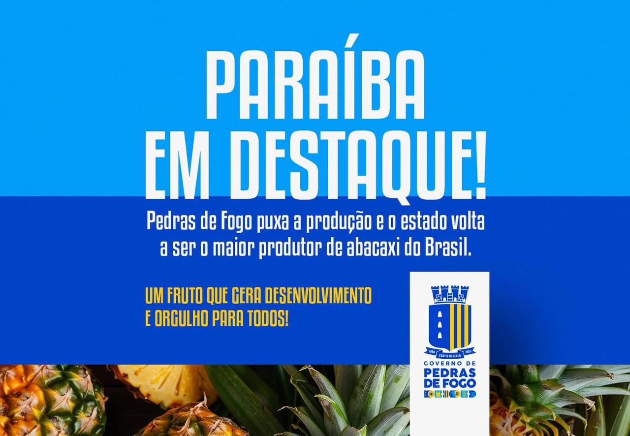 Imagem ilustrativa: Pedras de Fogo é destaque nacional na produção de abacaxi