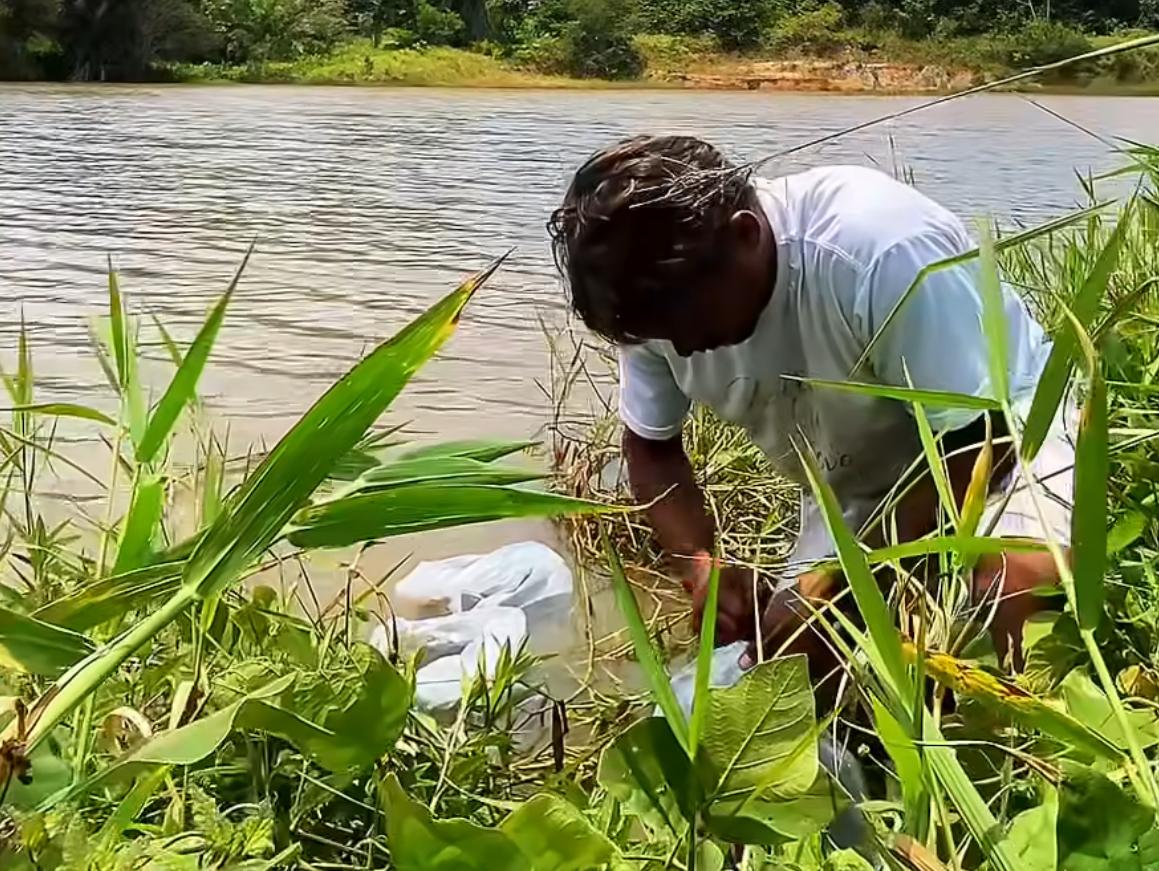 Imagem ilustrativa: Parceria entre Prefeitura e Governo do Estado leva 100 mil alevinos para comunidades rurais de Pedras de Fogo