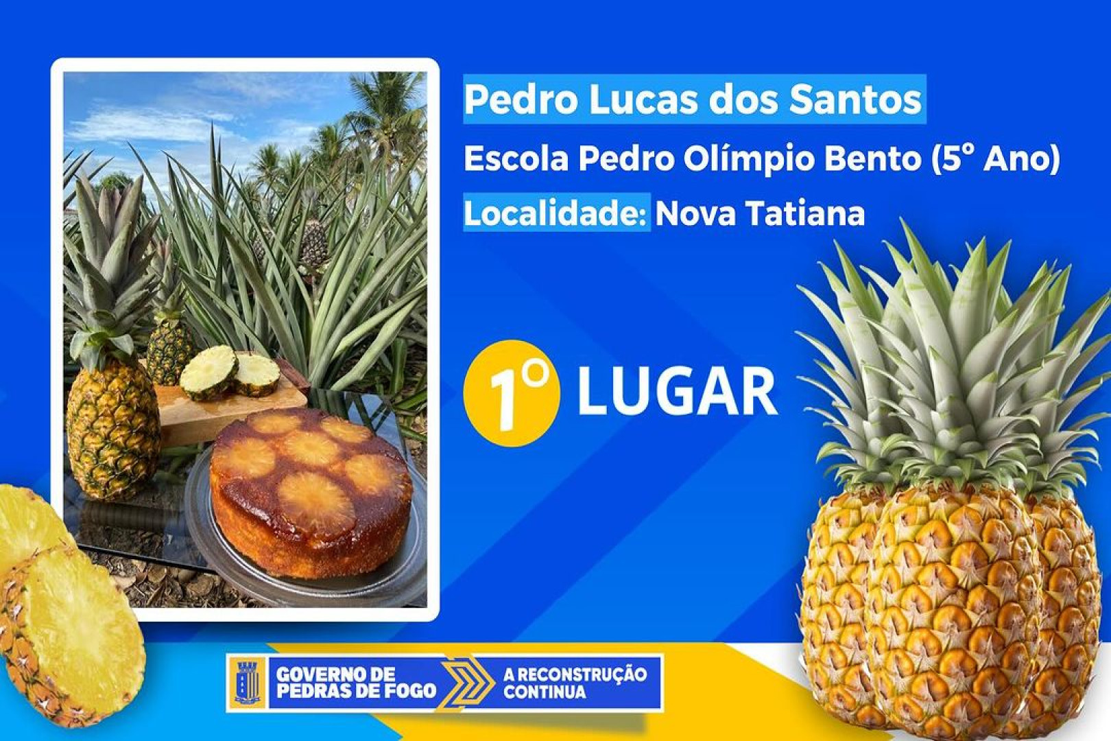 VEJA AS FOTOGRAFIAS QUE VENCERAM O CONCURSO SOBRE ABACAXI