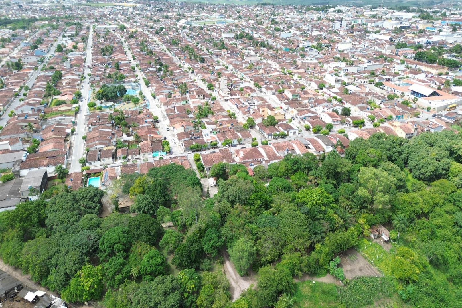 DIA MUNDIAL DO MEIO AMBIENTE É CELEBRADO NO MUNICÍPIO